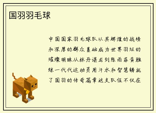 国羽羽毛球